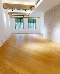 Bukit Pasoh Conservation Area (D2), Shop House #532053521